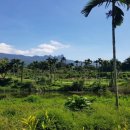 호텔그라운드세븐 이미지