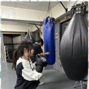 복싱스페이스 이미지