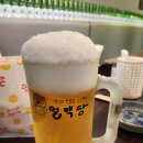 얼맥당 티스토리
