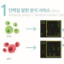 진온바이오텍