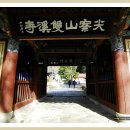 쌍계사 상록수림 이미지