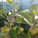 숲실농장 이미지