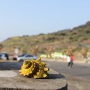 카페그림 이미지