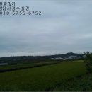 판정천 이미지