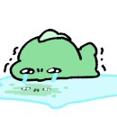 펫 파라다이스(pet paradise) 이미지