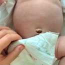 (주)광우 | [육아일기]세상밖으로 온걸 환영해 달쑤야 - 육아 한달 후기