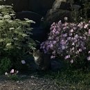 상화원 한국빌라 | [충남/보령] 죽도 상화원, 상화원 한국빌라 숙박 후기