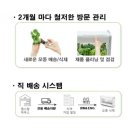 식탁위의텃밭 이미지