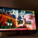 새롬유치원 이미지