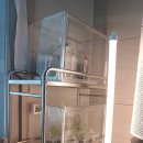 유 애 묘 이미지