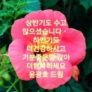 6월30일 한달도 수고하셨습니다.고지혈증 탈출법 이미지