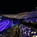 월포주유소 이미지