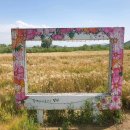 초동연가길 화장실1 | 밀양 초동연가길 양귀비(+맛집) | 이 꽃길을 걸으며 마음이 맑아지는 이유