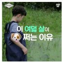 이 여덟 살이 쩌는 이유 이미지