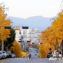 꿈틀로거리 이미지