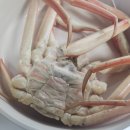 금성수족관 이미지