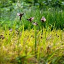 해든뷰 호스텔 이미지