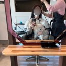 로슬린헤어