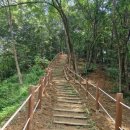 새미약수터 이미지