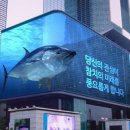 제일참치 이미지