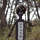 풀향기머무는집 | 봄날을 추억하며...(인제 하늘내린터, 4월 18일 1박2일 솔캠)