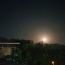 장흥비동돌담 이미지