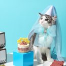 애니콩 주식회사 농업회사법인 이미지