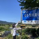 김영삼농장 이미지