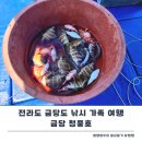 소라 유치원 | 전라도 금당도 낚시 가족 여행 금당 청풍호 후기