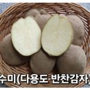 그린종묘농약사 이미지