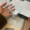 초록나무한의원 | [2월 세번째 브이블로그] ‘모순’책 / 왕과사는남자 / 파반느 / 아카이브앱크 백