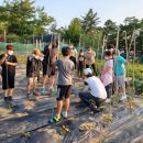 송곡2리마을회관 이미지