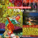 초읍동-01 | 2026 부산 연등축제 삼광사 천태종 절 부처님오신날 사진 점등시간 화장실 주차 위치