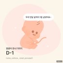 치킨마루(수유동 화계사점) | [임신 39주차] 유도분만 D-1! 마지막 한주 즐기기!