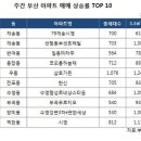 주간 아파트 상승률 TOP 10 (3/4) 이미지