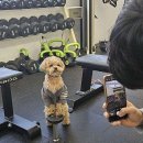 백짐 (100GYM) 이미지