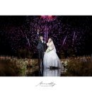 나수진 | [공지] W.1 마리안 웨딩 본식 스냅 계약 후기 (보타닉 파크 오키드홀 / 짝꿍 코드 견적 공유 가능)