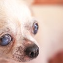 D&C동물병원 이미지