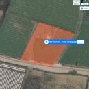 산방산탑부동산공인중개사사무소 이미지