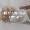 웰킨 두피 탈모 센터 이미지