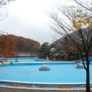 신흥레져타운 Daum카페