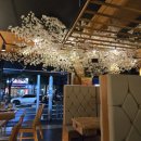 쿠시야끼하루 이미지