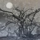 산청(통영) 이미지