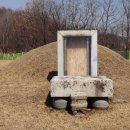 김안정 묘 및 출토묘비 이미지