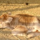 농업기술센터(우) 이미지