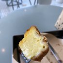 폴스타르트 이미지