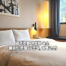 파주호텔 가성비 숙소 파주메이트호텔 (+조식, 여행코스)
