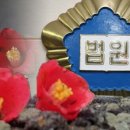배상곡 네이버블로그