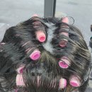 성태인 헤어 이미지