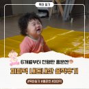 6개월부터 가능한 홈 문센, 동탄 파파덕 방문미술 솔직후기